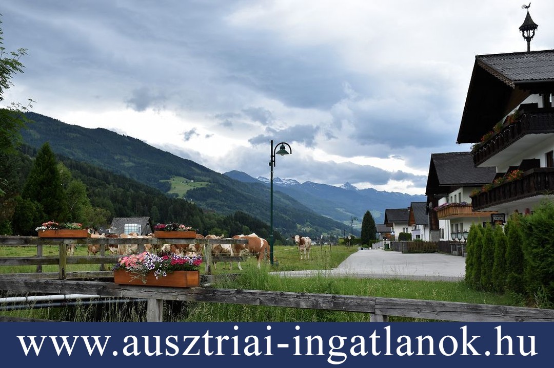 Ausztriai-ingatlanok_elado-berhaz-enstal2-015-1080.jpg